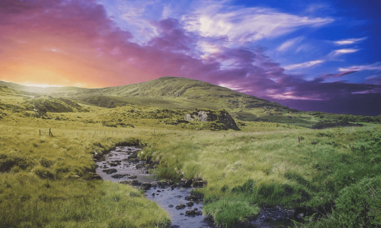 Interdum magna augue eget